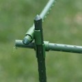 Miniatyrbild 4 av 4: Klämma för tomatburar Växtstöd för växter Växtpinnar Set med 50 universella trädgårdsklämmor (16mm Cross Clips)