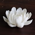 Miniatyrbilde 2 av 5: XJ-3,9 tommers hvit lotus keramisk røkelsesbrenner blomst røkelsesbrenner pinneholder for yogastudio stue hjemmeinnredning