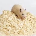 Miniatyrbild 3 av 5: Hamster Sågspån Sterilisera Deodorant Fluffig Stock Sågspån Torrt Varmt Hus Padding Material Smådjursbo Dekorera Tillbehör
