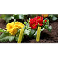 Miniatyrbild 2 av 2: 20-pack Växtetiketter - 130 x 17 mm - Etikettområde - Väderbeständigt Material - Gul - för Växter - för Örter