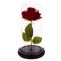 Miniatyrbillede 5 af 5: XJ-Evighedsrose – Rød Rose i Glasklokke med Belysning og Gaveæske
