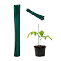 Pikkukuva 1 / 4: XJ-Kukkakepit 30 cm, 50 kpl:n setti