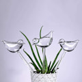 Miniatyrbilde 5 av 5: XJ-10-pakning glass selvvanning, transparente fugleformede glober plantevanner for innendørsplanter hageinnsatser blomster