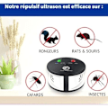 Miniatyrbilde 2 av 4: 360° ultralyd repeller mot rotter, mus, gnagere, kakerlakker og insekter. Kraftige variable frekvenser, en rekkevidde på 550 m2.