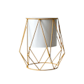 Miniatyrbillede 2 af 5: XJ-Nordisk stil plante saftig plante geometrisk kontor have vase blomsterkrukke displayholder stativ metal skrivebord til hjemmefirma geometrisk hvid