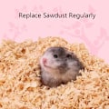 Miniatyrbild 5 av 5: Hamster Sågspån Sterilisera Deodorant Fluffig Stock Sågspån Torrt Varmt Hus Padding Material Smådjursbo Dekorera Tillbehör