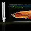 Miniatyrbillede 2 af 2: 2 stk 11W Ultraviolet UV Desinfektionslampe UV Steriliseringslamper Til Sterilisator Akvarium (G23 Lampesokkel) Som Vist