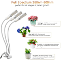 Miniatyrbillede 4 af 5: Plantelys, 3/6/12 timers automatisk tænd/sluk, 156 LED'er sollignende fuldspektrum vækstlys, lampe til indendørs planter