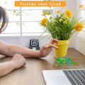 Miniatyrbillede 3 af 3: 3 stk. frølegetøj realistisk frøfigur simulation frødyrmodel blød og hoppende spoof vent stresslegetøj frøfestdekorationer