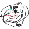 50CC 70CC 90CC 110CC ATV Elektrisk Kabelhärva CDI Stator Kit Tändsystem för Fyrhjuling Kart