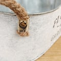 Miniatyrbild 5 av 5: Elegant kruka för suckulenter, perfekt för att komplettera din krukväxt