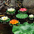 Miniatyrbillede 4 af 5: Kunstige flydende lotusblomster, hvide kunstige åkander, flydende skumplanter til have, dam, pool, akvarium, terrasse, bryllup