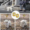 Miniatyrbillede 5 af 5: 2 stk. Kæledyr Hunde Vest Sele Badge Dekorative Mærkat Terapi Service Hund Patch Krog Ring Badge Må Ikke Røre Mærkat Mærkat