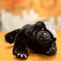 Miniatyrbillede 5 af 5: 40/50cm Honninggrævling Plys Legetøj Simulation Dyr Udstoppet Plys Ratel Legetøj Blød Dukke Gave Til Børn Fødselsdag Jul