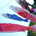 Miniatyrbillede 3 af 5: 5 stk. Koi 50cm fisk vindpose - realistisk fiskvindpose
