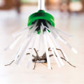 Miniatyrbilde 4 av 5: Edderkoppfanger, ekstra lang felle med håndtak for å fjerne edderkopper og insekter trygt og humant
