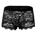 Miniatyrbilde 1 av 5: Herreundertøy Blonder Transparent Mesh Lav Midje Boyshort