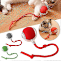 Miniatyrbild 3 av 5: Interaktiv Kattboll Leksak Smart Självrullande Boll Katt Leksak Med Färgglada Ljus För Katt Katter Red