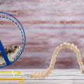 Miniatyrbild 3 av 5: 2 st trähamstertrappbro liten djurklättringstrappa böjbar råttbur habitatleksak för hamstrar jordekorrar och andra smådjur