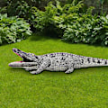Miniatyrbilde 2 av 5: Realistisk oppblåsbar alligatorleke, flott for sumpfestdekorasjoner, krokodillepranks for voksne K