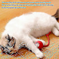 Miniatyrbild 4 av 5: Interaktiv Kattboll Leksak Smart Självrullande Boll Katt Leksak Med Färgglada Ljus För Katt Katter Red