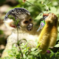 Miniatyrbilde 5 av 5: 12 stk Fargerike Topp Nøkkeldeksler, Fleksible Ape Nøkkeldeksler Nøkkeldeksler For Enkelt Å Identifisere Dørnøkkel
