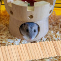 Miniatyrbillede 4 af 5: 2 stk. Træ Hamster Stige Bro Lille Dyr Klatring Trappe Bøjelig Rotte Bur Habitat Legetøj til Hamstere Jordegern og Andre Små Dyr