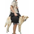 Dog Harness, Support & Rehabilitation (XL, Black)