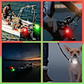 Miniatyrbillede 5 af 5: 4 stk. Bådbue Lys LED Bådsnavigation Lys Med 5 stk. Knapcelsbatterier Til Båd Kajak Ponton Hovercraft Yacht Motorbåd Cykel Jagt Nat