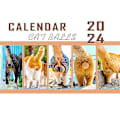 Miniatyrbillede 2 af 5: Kattebag 2024 Til Katteelskere Sjov Katte Kalender, Killing Bag Kalender 2024 Månedlige Vægkalender Søde Sjove Hunderacer Kb Multicolor
