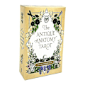Miniatyrbild 2 av 5: 2020 The Antique Anatomy Tarots Deck Full English Divination Oracle Cards Pdf Guidebook44st Ts80