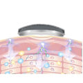 Miniatyrbild 3 av 4: Fyrhuvudsmassageapparat för halsrygg, multifunktionellt knådande nack- och nackskydd