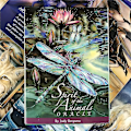 Miniatyrbild 3 av 5: Tarotkort Spirits Of The Animals Oracle- set Festunderhållning Brädspel för vuxna barn44st Ts23