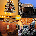 Miniatyrbild 3 av 4: 16,4 fot batteridriven String Light 20led Globe String Lights Fjärrkontroll Utomhus