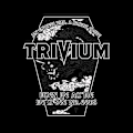 Miniatyrbild 2 av 5: Trivium An Endless War A Hollow Cause Damväst Medium
