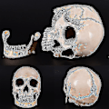 Miniatyrbillede 2 af 3: Lifesize 1:1 Human Skull Model Replica Resin Medical Anatomical Tracing