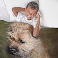 Miniatyrbillede 5 af 5: Border Terrier Sherpa Fleece-tæppe-orfm350 80x60in 200x150cm