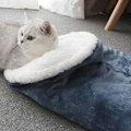 Miniatyrbillede 7 af 7: Kattesovepose, Varm Indendørs Kattehule Seng, Blød Plys Kæledyrs Beroligende Seng, Hyggelig Kæledyrsredeseng, Vinter Kæledyrsseng til Hunde og Katte op til 6 kg (Blå)