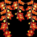 Miniatyrbilde 2 av 7: Multiformede lyslenker, batteridrevet, 2M 20 LED dekorative lyslenker, egnet for forskjellige festivaler, skaper en god atmosfære, rotting Maple Leaf