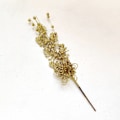 Miniatyrbillede 1 af 3: Guldpulverkugle guldpulver blomsterudskæringstilbehør julepynt juletræstilbehør håndlavet gold
