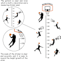 Miniatyrbild 2 av 4: Basketboll Skytte Sport Höjd Tillväxt Diagram Väggdekal Set Självhäftande Höjdklistmärken För Sovrum, 90x30