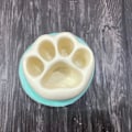 Miniatyrbillede 5 af 5: Til Katte Klo Sukulenter Potte UV Krystal Epoxy Resin Form Håndlavet