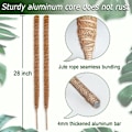 Miniatyrbild 2 av 6: 2-pack mosspinnar, 25 tum böjbar mosspinnar för växter Monstera, mosspinnar för klätterväxter inomhus
