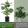 Miniatyrbild 5 av 6: 2-pack mosspinnar, 25 tum böjbar mosspinnar för växter Monstera, mosspinnar för klätterväxter inomhus