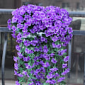 Miniatyrbillede 8 af 10: Livagtig Kunstig Hængende Orkide Buket Silke Lang Hængende Busk Blomster Snøre Bryllupsfest Hjemmeindretning