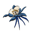 Miniatyrbilde 4 av 5: Sett med 9, blomster, søte broderte lapper til å stryke på og sy på