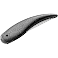 Miniatyrbillede 1 af 5: #Sort - Lomme Neglefil - Safir Neglefil - 7,5cm/13,5cm - 3#
