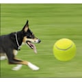 Pikkukuva 4 / 4: 3 kpl Koiran Tennispalloa (6cm)