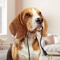 Miniatyrbild 11 av 11: Acefast-kabel USB Type C - USB Type C 1,2m, 60W (20V/3A) svart (C2-03 svart)
