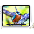 Miniatyrbillede 2 af 6: BESKYTTELSESFOLIE HOFI PAPIR PRO+ 2-PACK IPAD AIR 11 6 / 2024 MAT KLAR